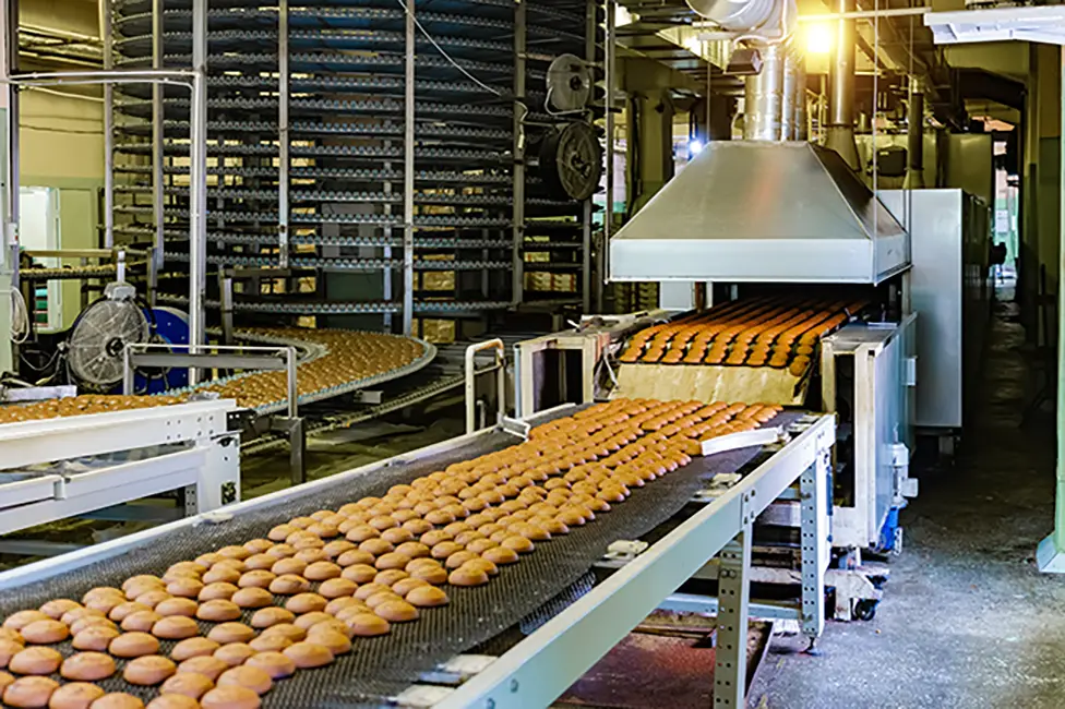 Industrial bakery production line with rows of baked goods on conveyor belts and spiral cooling racks in the background.